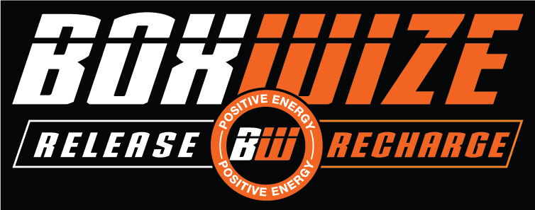 BoxWize Full Front Logo 8-1-2018 Black