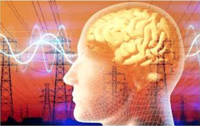 Screen Shot 2025-11-06 at 2.16.23 PM