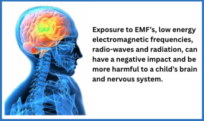 Screen Shot 2025-11-07 at 7.03.10 PM