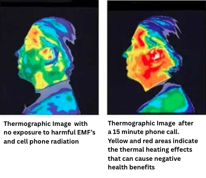 Screen Shot 2025-11-07 at 9.20.49 AM