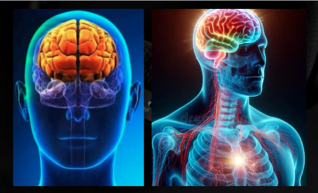 Screen Shot 2026-03-31 at 12.37.37 PM