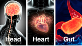 Screen Shot 2026-03-31 at 2.08.36 PM